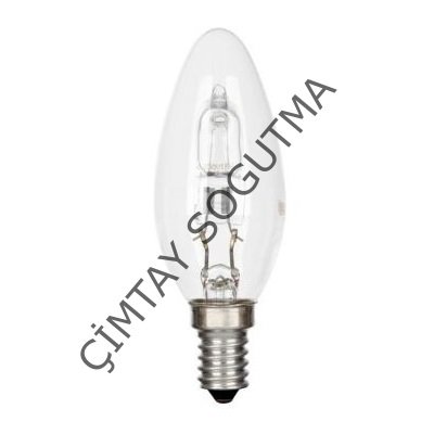 UZUN OVAL AMPUL 220 v.