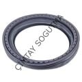 ELECTROLÜX XXL ÖN KÖRÜK A02846803